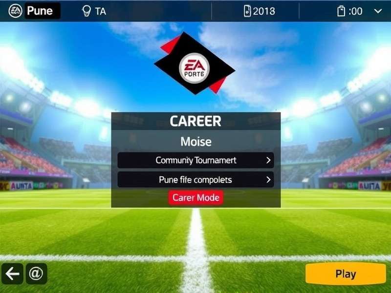 Pune FIFA Prodigies Community Tournament